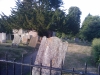 IMAG0041