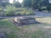 IMAG0054