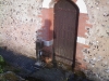 IMAG0055