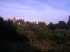 IMAG0059